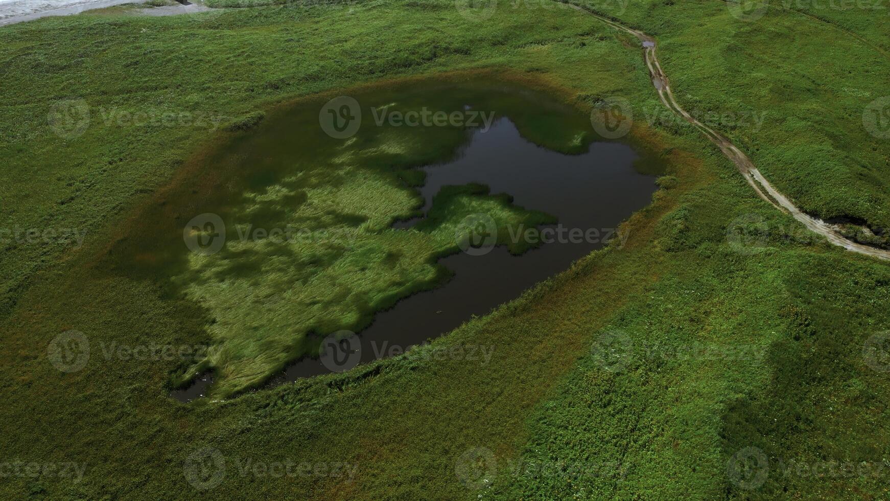 pequeño estanque en verde agrícola campo en primavera. acortar. aéreo de verde prado y minúsculo lago. foto