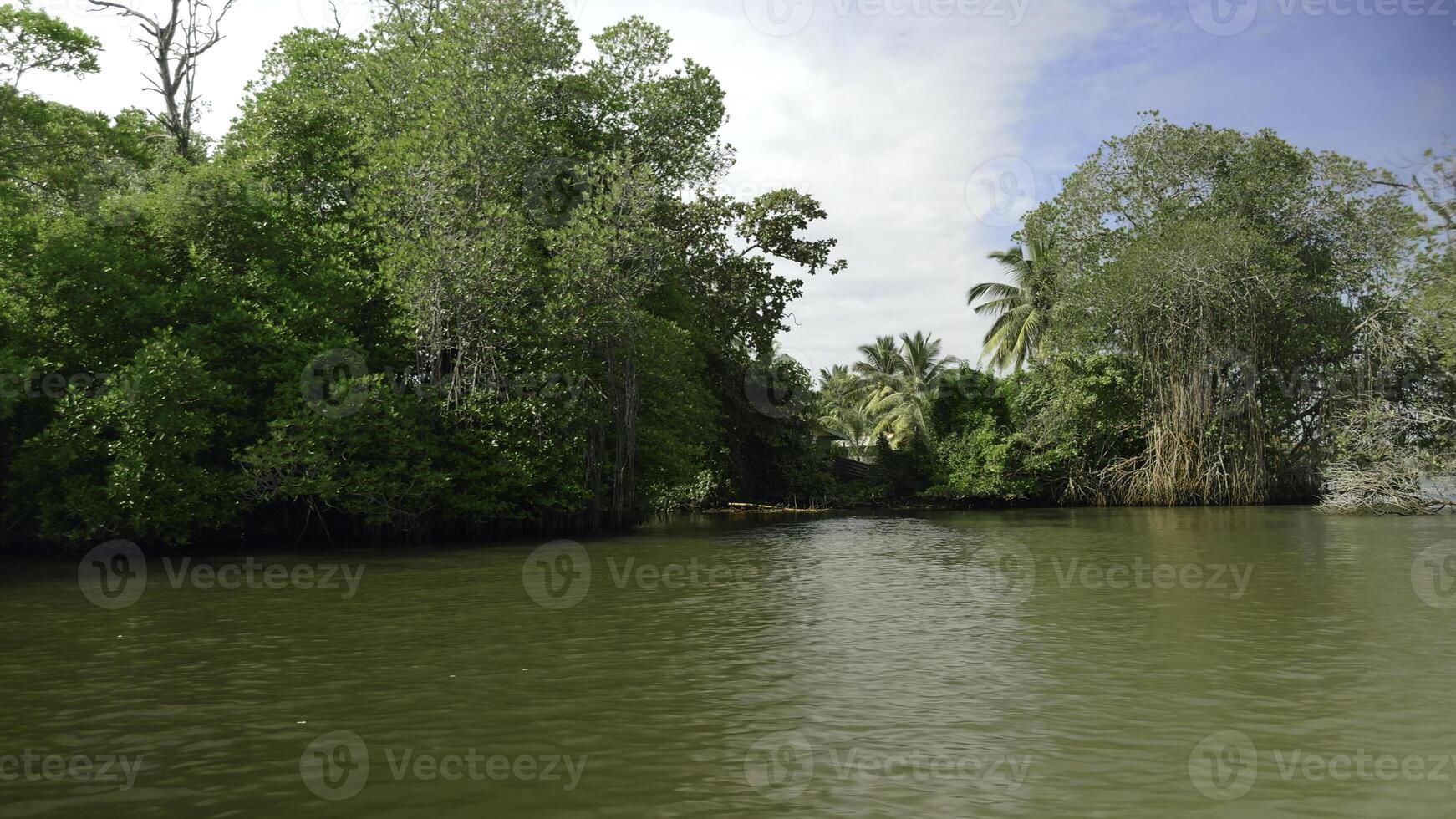 First person view from the boat floating on the river through mangroves in the wild tropical rainforest. Action. Green bushes and trees and dirty river. photo