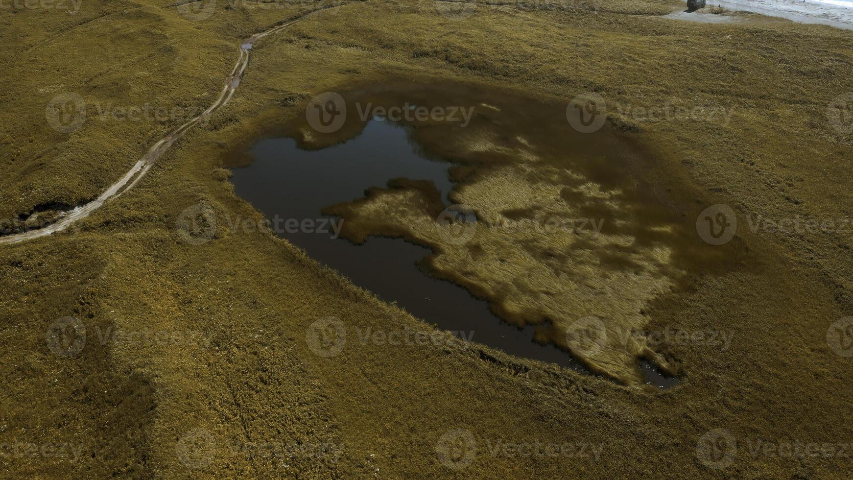 idílico campo paisaje con minúsculo lago en seco amarillo campo. acortar. otoño Valle y mar costa. foto