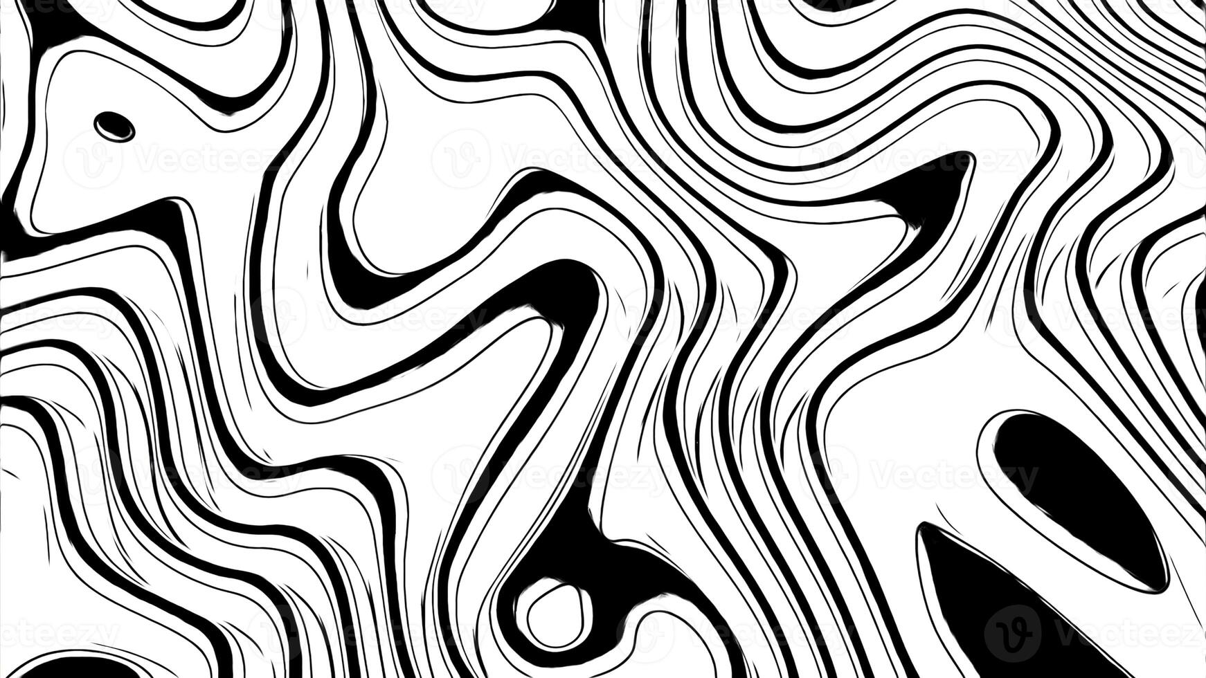 Abstract monochrome curves background. Design. Flowing and transforming shapes. photo