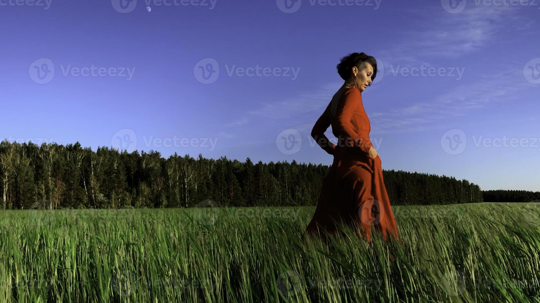Young woman model in scarlet dress flowing in the wind. Stock clip. Brunette woman with curly hair in fild with forest and blue sky on the background. photo