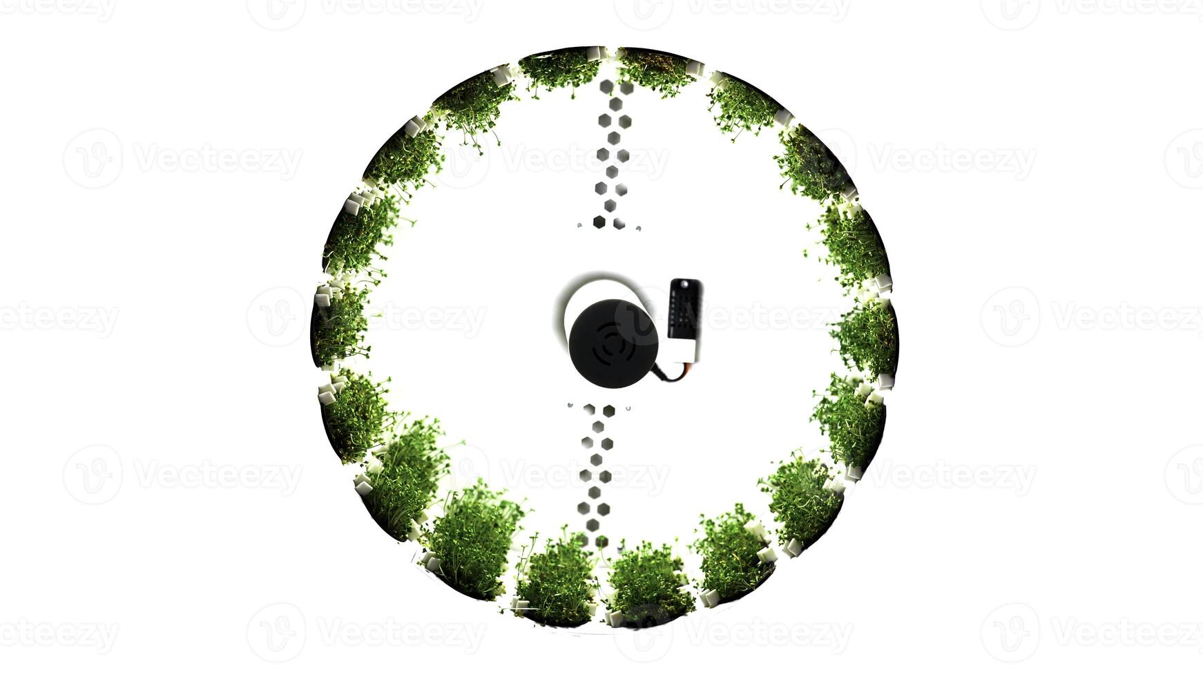Abstract spinning circular object with green grass growing along its perimeter. Media. Boxes with green vegetation rotating on white background. photo