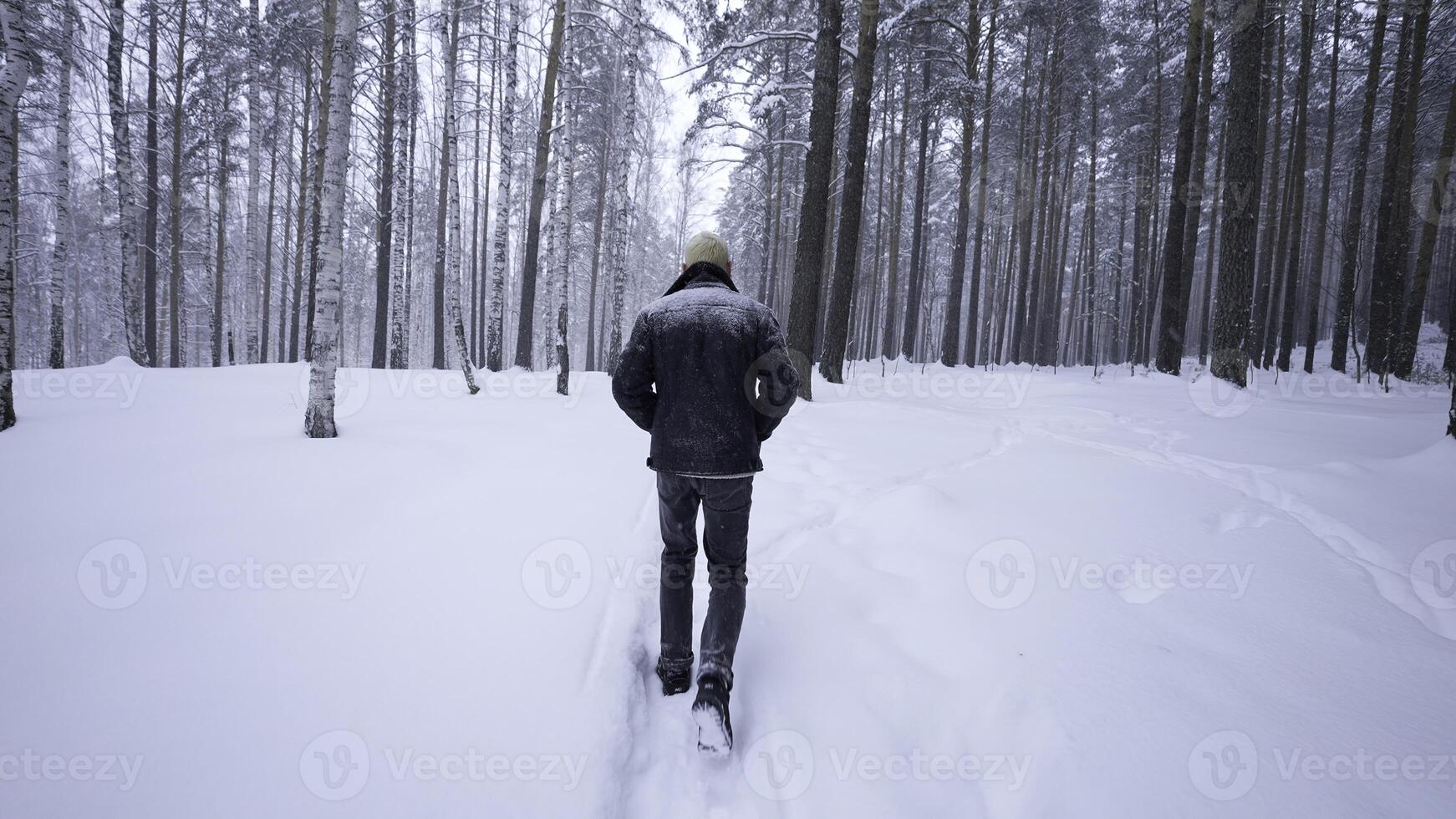 Stylish young man walking in winter forest. Media. Rear view of man walking in winter forest. Walking along path with falling snow in winter forest photo