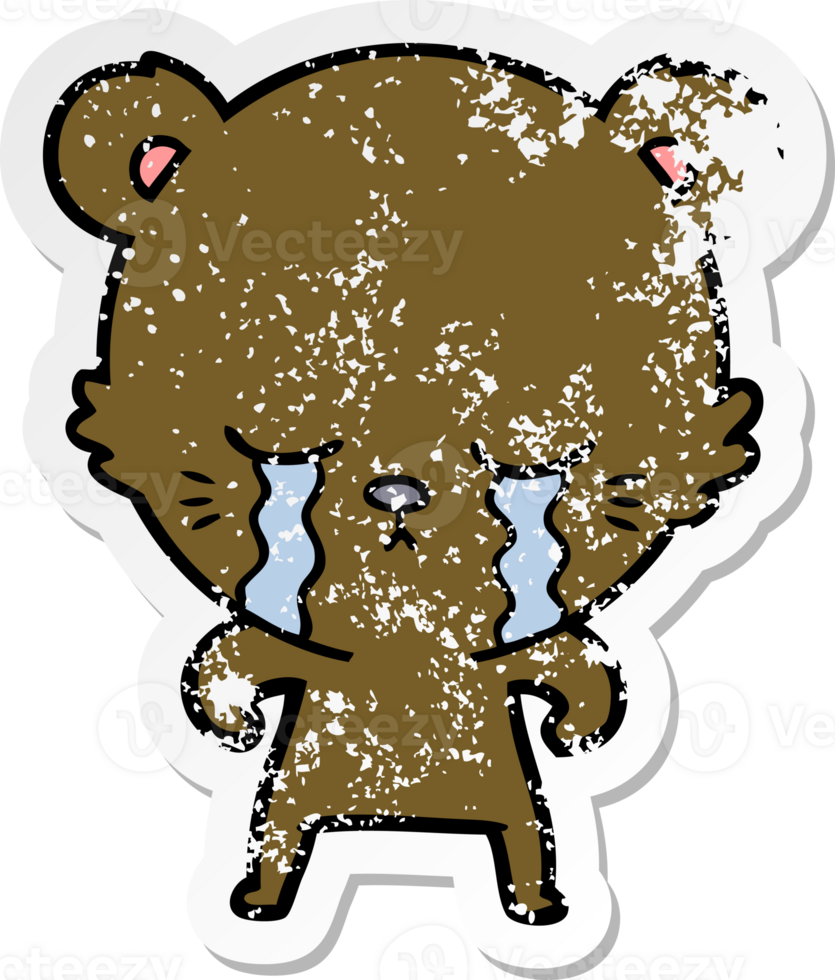 distressed sticker of a crying cartoon bear png