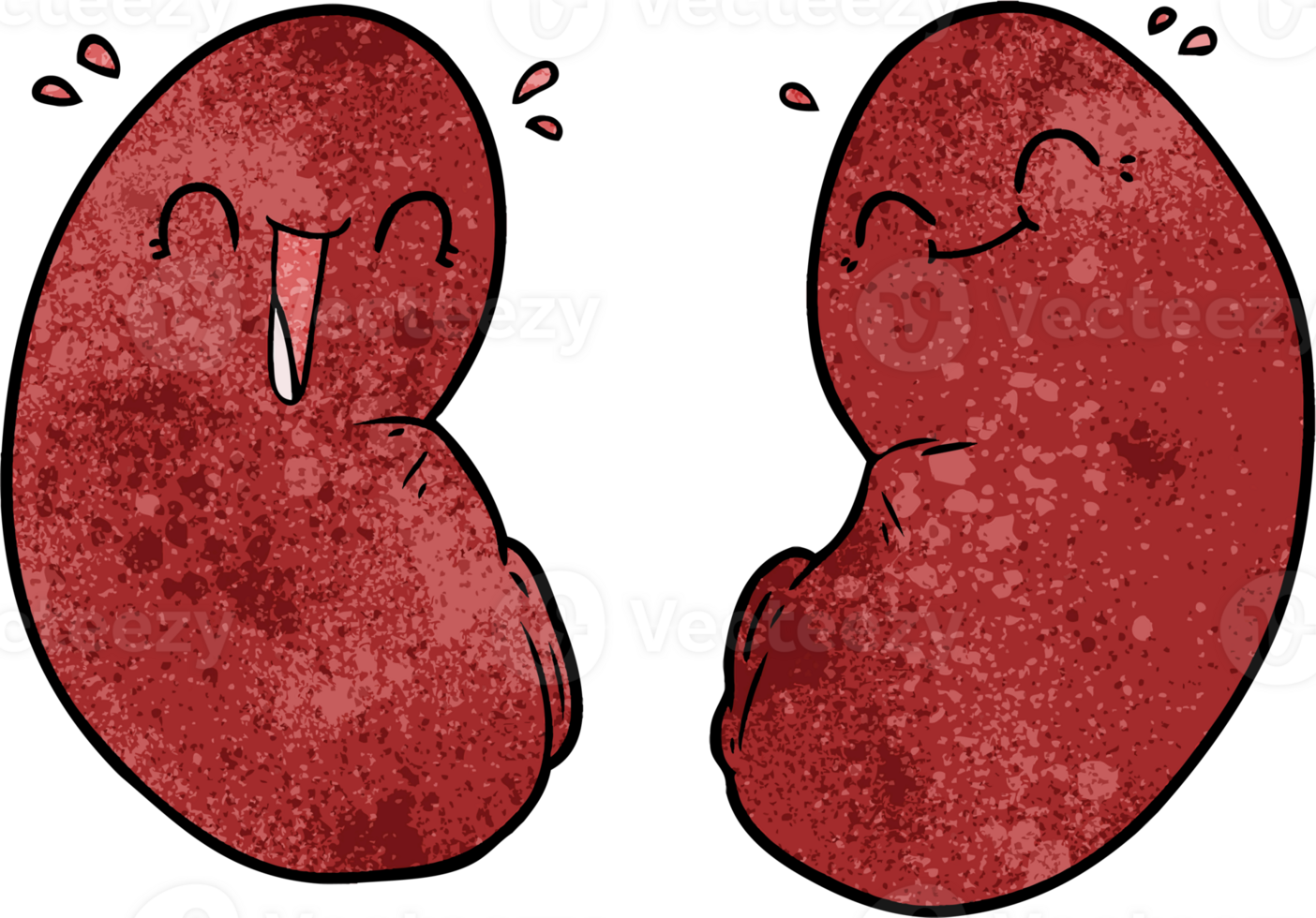 cartoon happy kidneys png