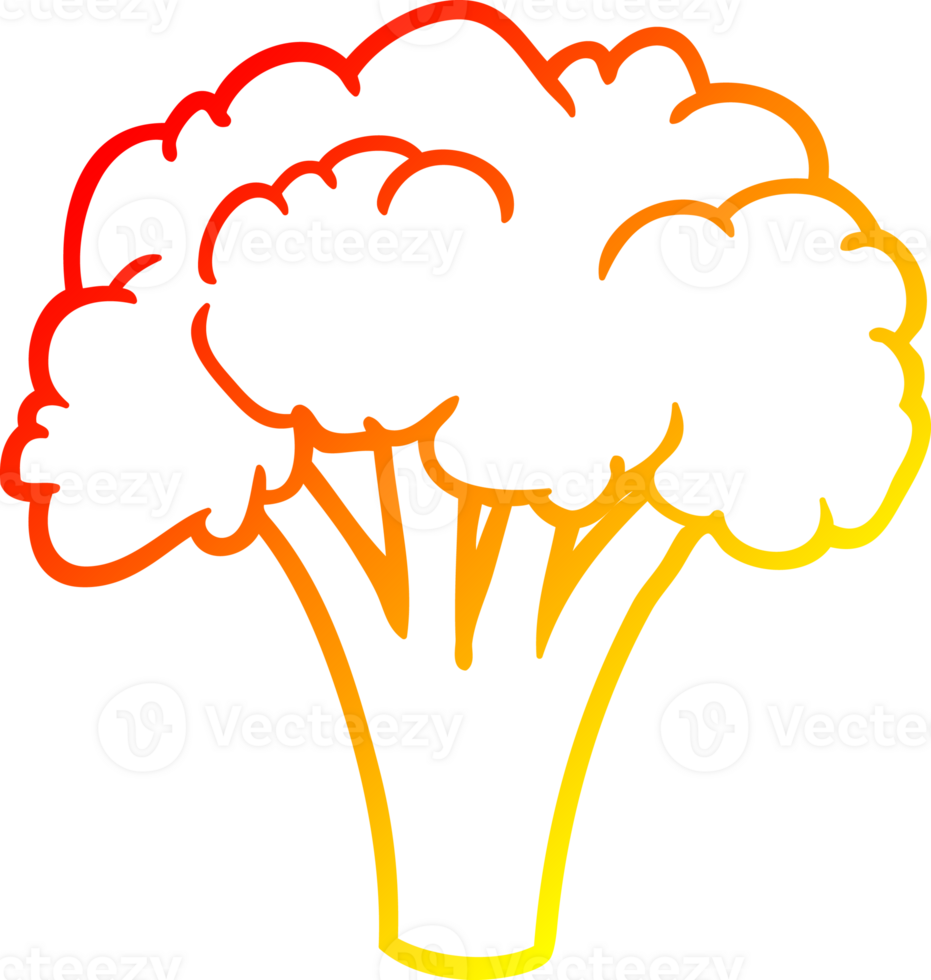 warm gradient line drawing of a Cartoon broccoli png