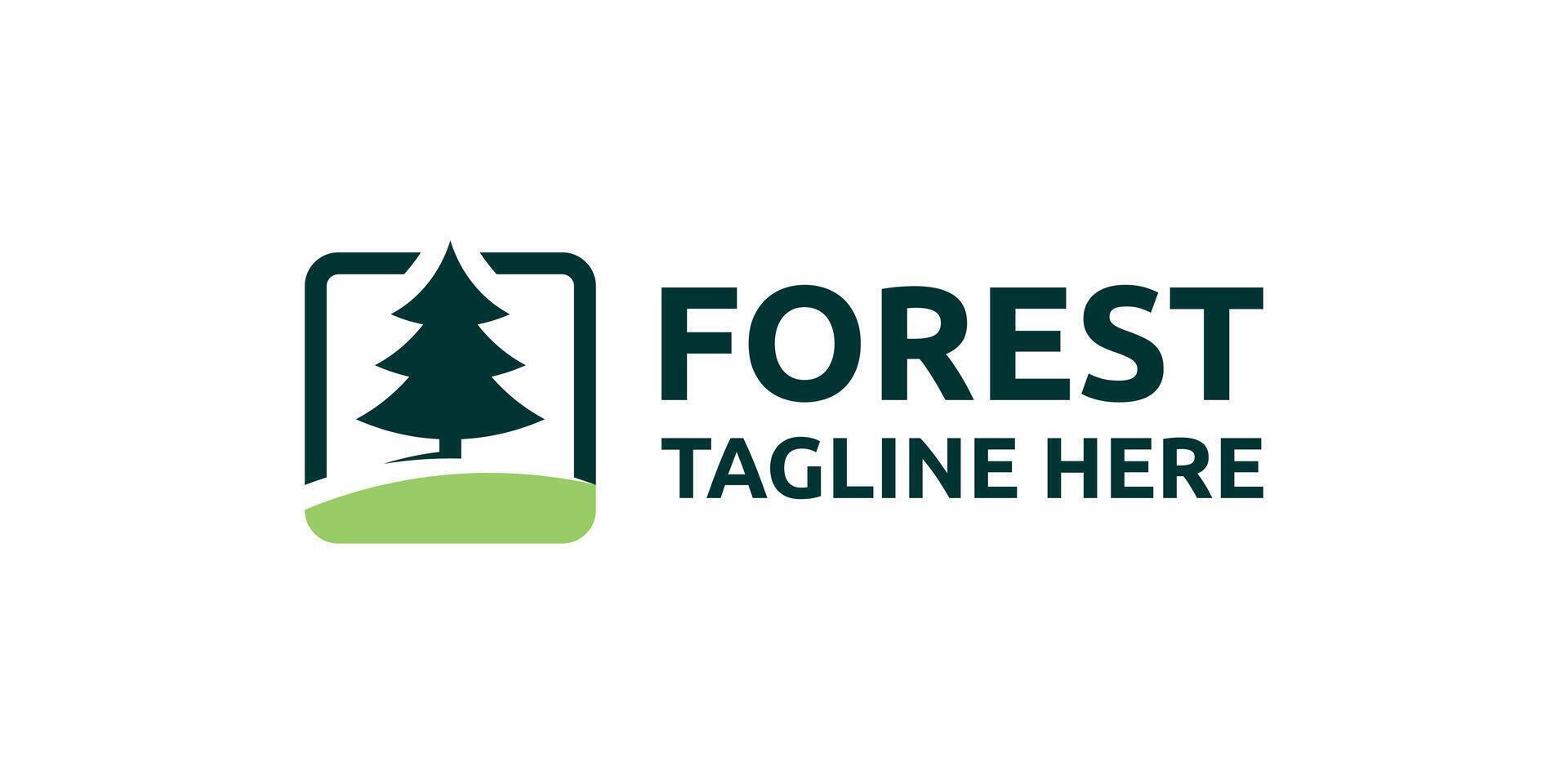 creative forest logo design, pine tree logo design in a box, logo design templates, symbols, icons, creative ideas. vector