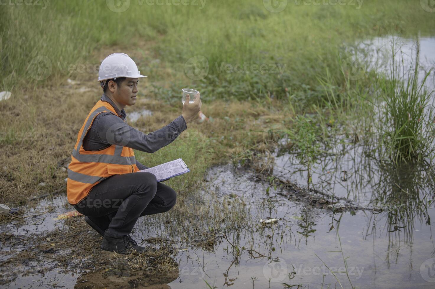 Environmental engineers inspect water quality,Bring water to the lab for testing,Check the mineral content in water and soil,Check for contaminants in water sources. photo