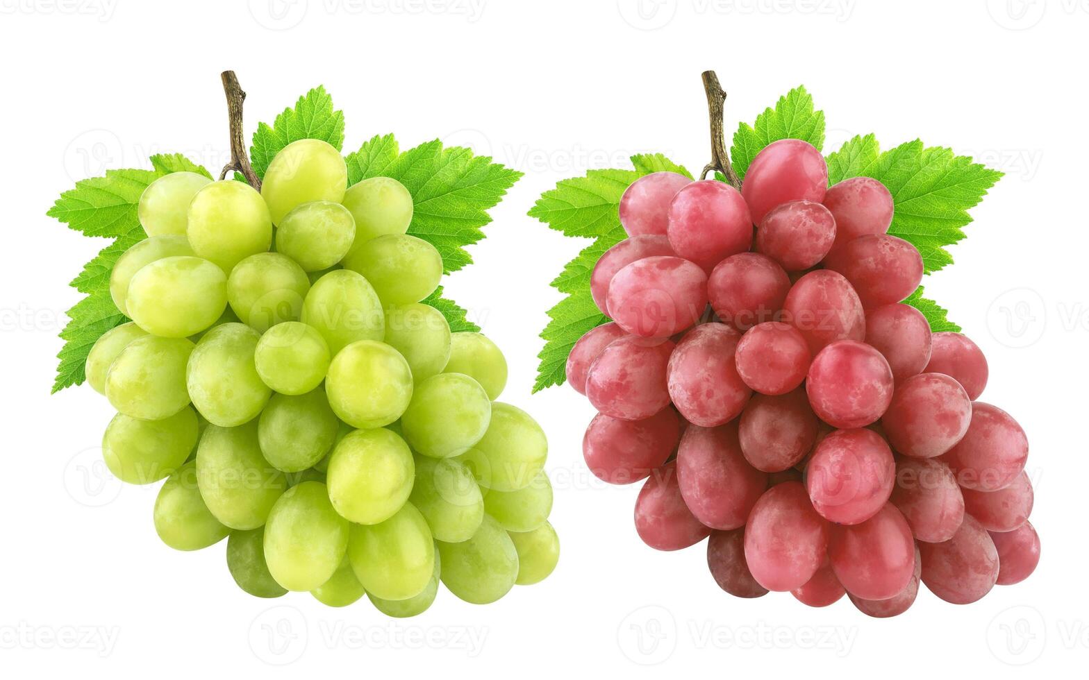 Red and green grape isolated on white background photo