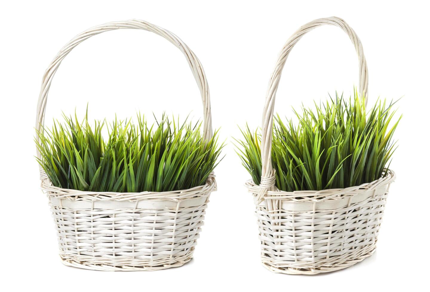Grass in basket isolated on white background photo