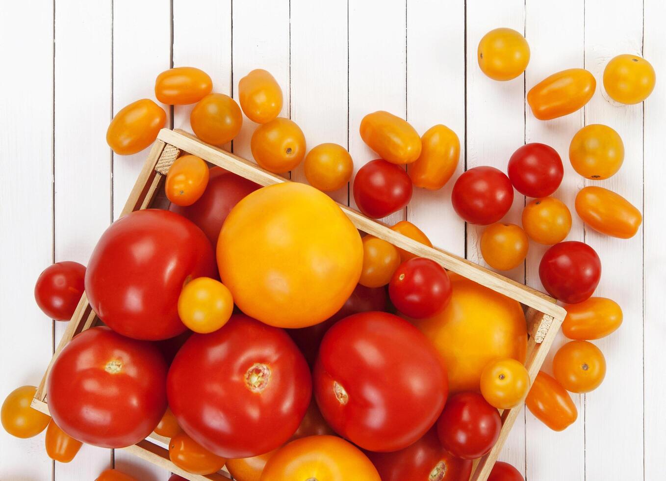 Different tomatoes on white table. Top view photo