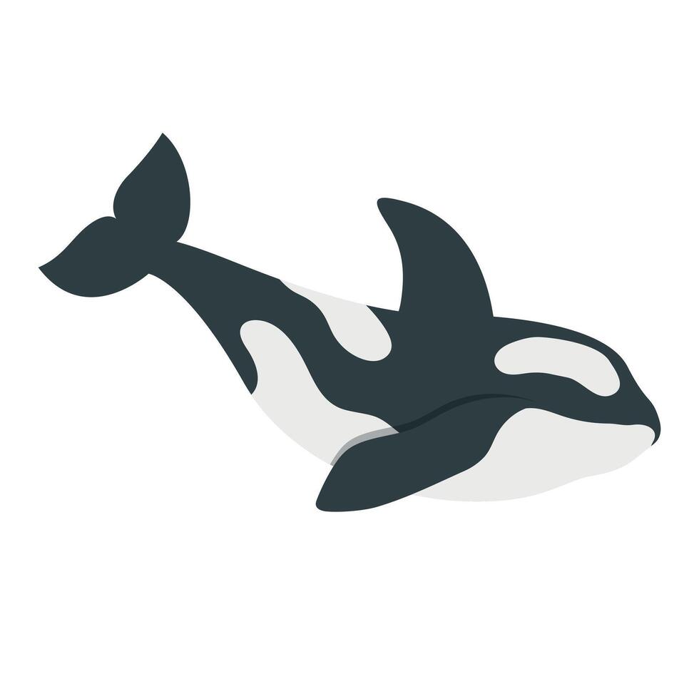 Cartoon hand drawn killer whale silhouette on isolated white background. Polar arctic sea animals for the logo, mascot, design. Vector illustration