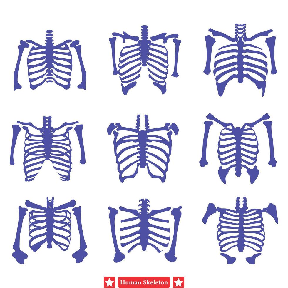Eerie Elegance  Stylish Human Skeleton Vector Set for Artistic Creations