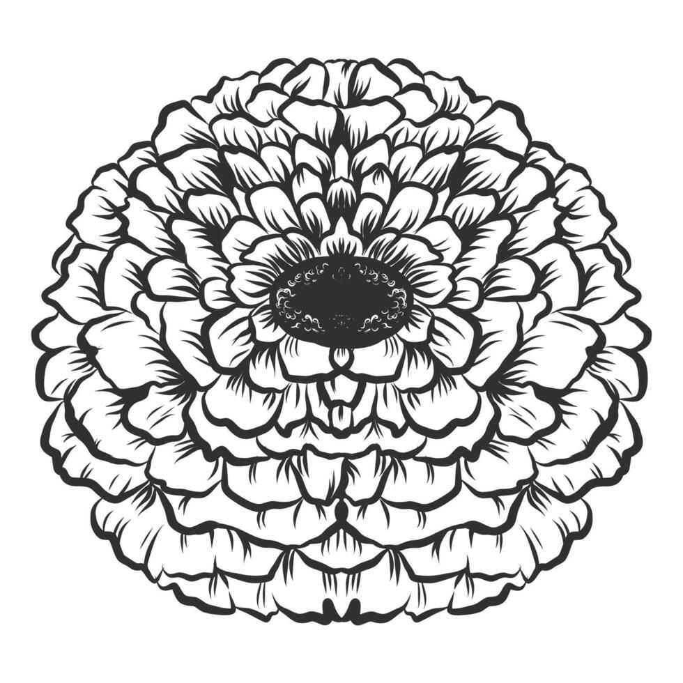 Hand drawn monochrome blooming flower. Vintage vector illustration isolated on white background.