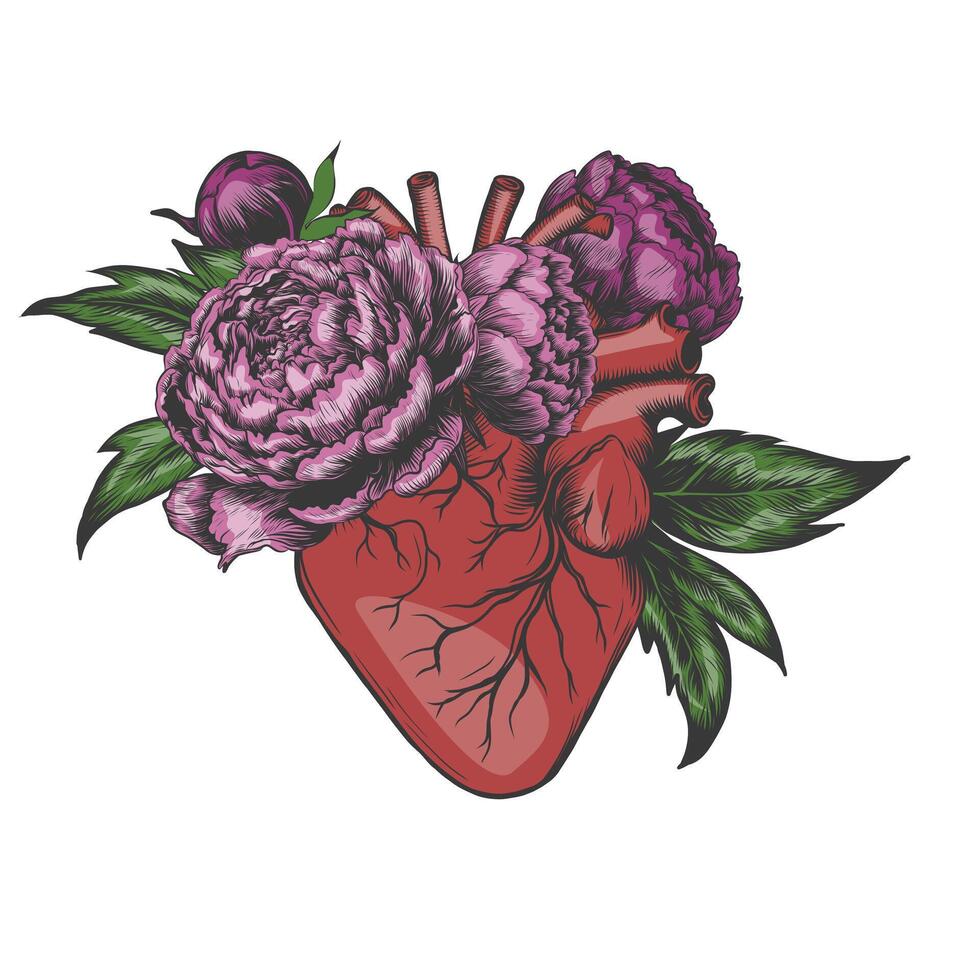 Blooming anatomical human heart. Vector hand drawn illustration in vintage style. Retro Design for your tattoo, logo, T-short print, stickers.