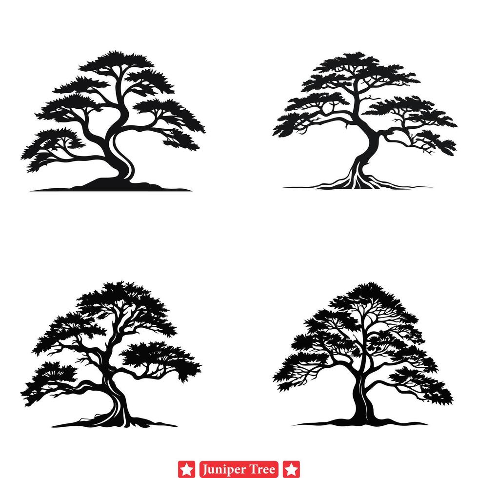 ecos de naturaleza enebro árbol siluetas para ambiental temas vector