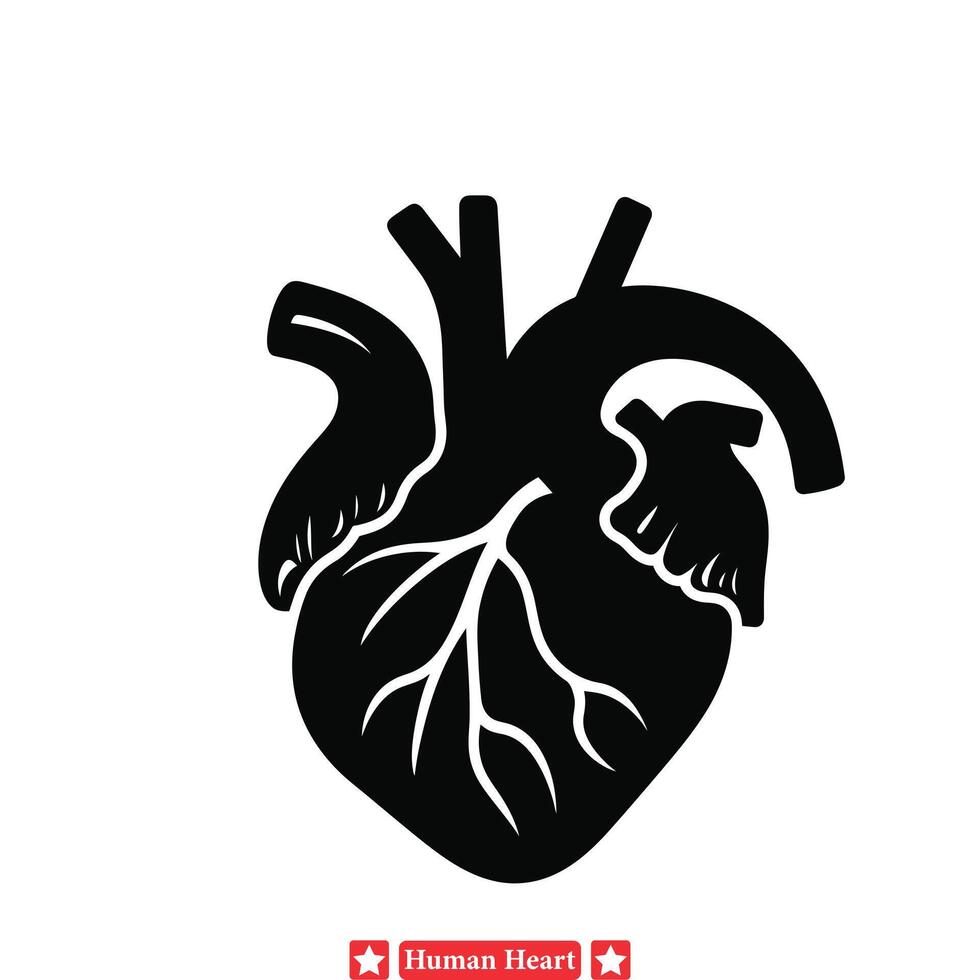 Educational Excellence  Human Heart Silhouette Bundle Offering Versatile Options for Medical Training and Scientific Presentations vector