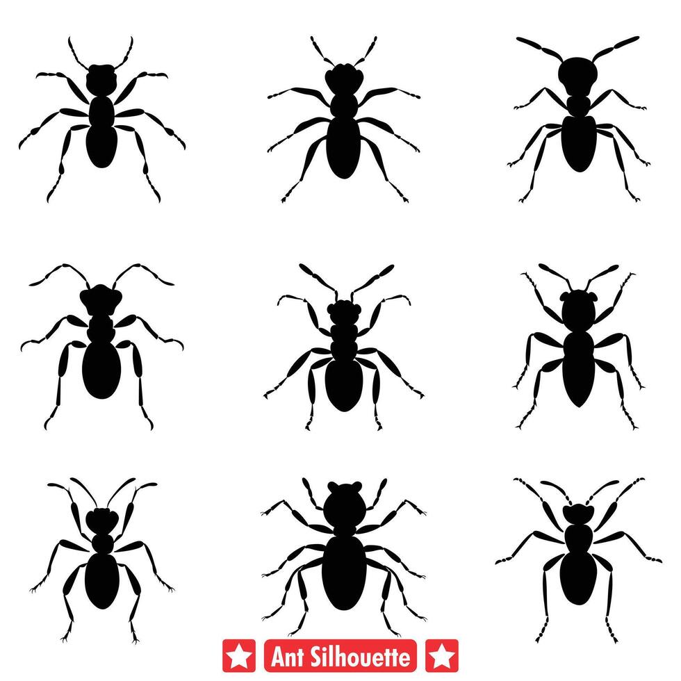 ai generado hormigas en acción detallado vector silueta diseños para ecológico ilustraciones