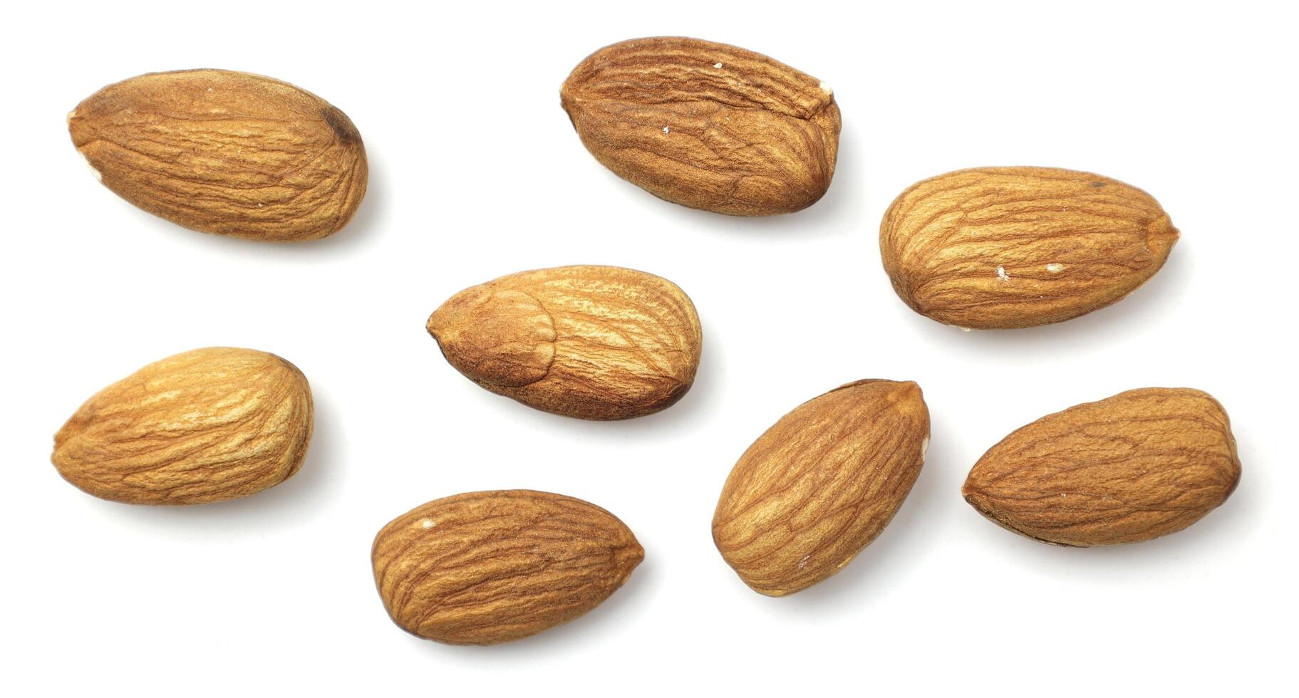 Almond isolated on white background photo