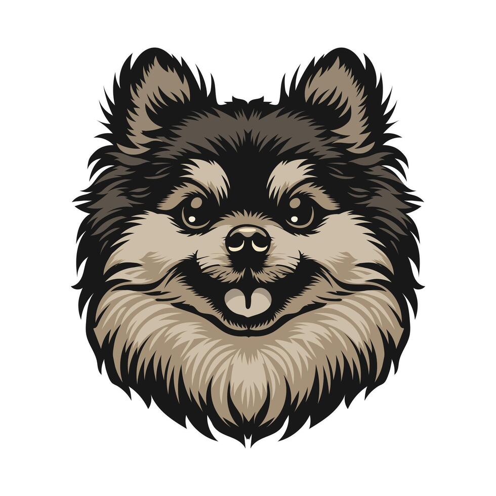 pomeranio perro cara valores vector ilustración