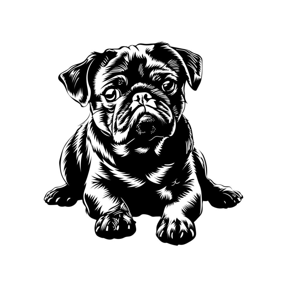 buldog perro valores vector ilustración