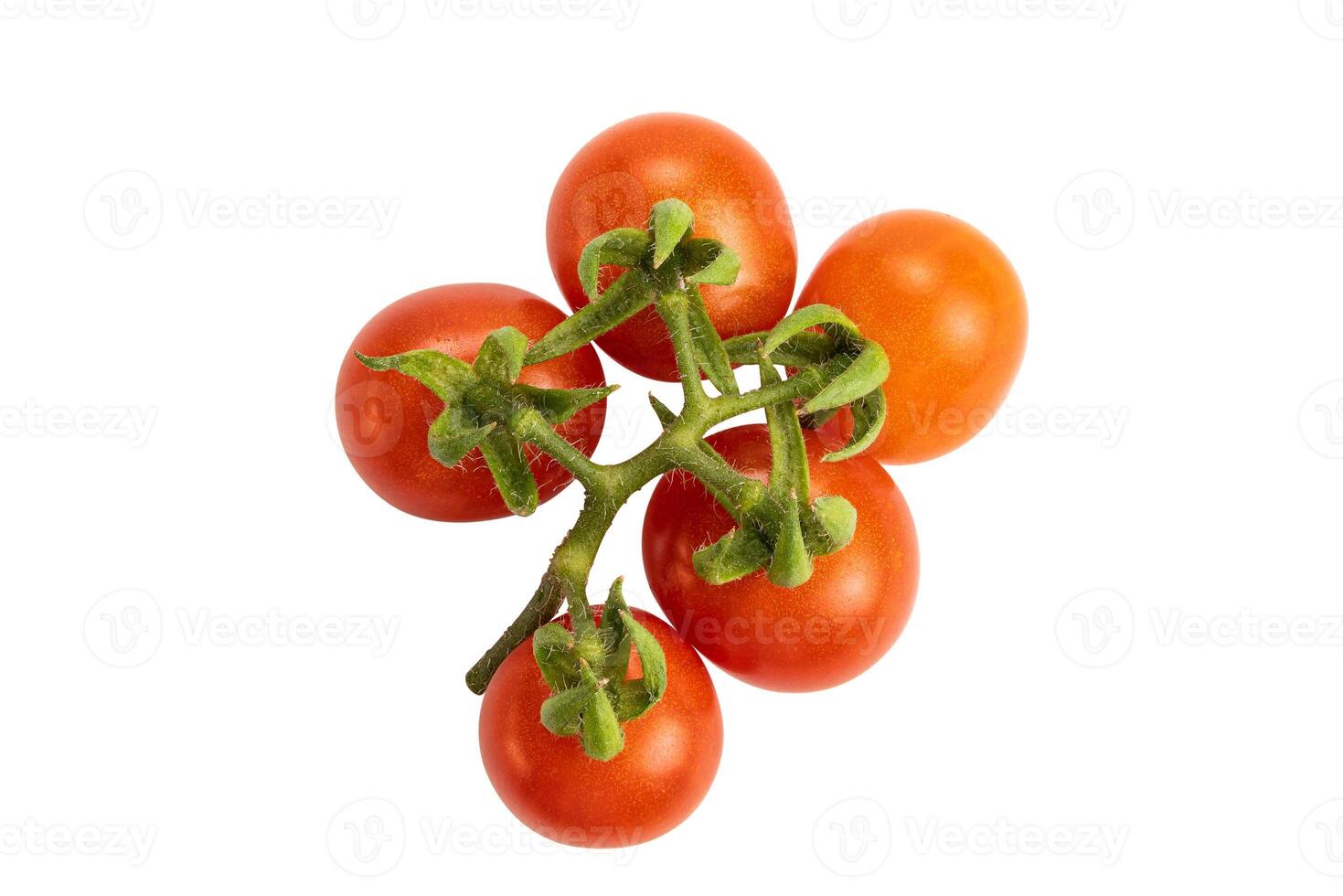 Top view of red ripe tomatoes on white background with clipping path. Bunch of ripe and juicy tomatoes isolated. photo