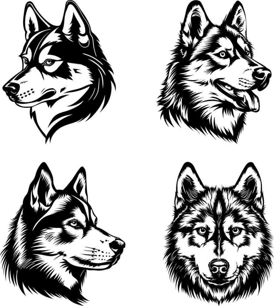 Siberian Husky Dog set Stock Vector Illustration