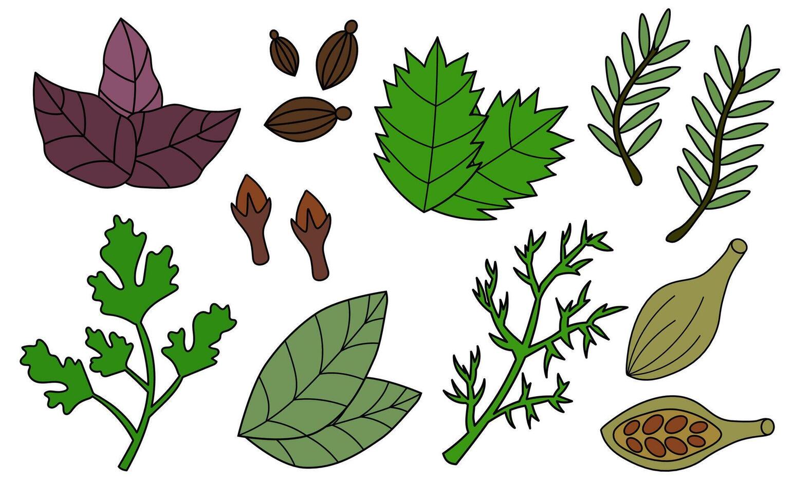 conjunto especias, condimentos y hierbas. Romero, menta, albahaca, eneldo, perejil, cardamomo, Clavo, bahía hoja, cilantro. garabatear colección icono, logo, pegatinas vector plano ilustración.