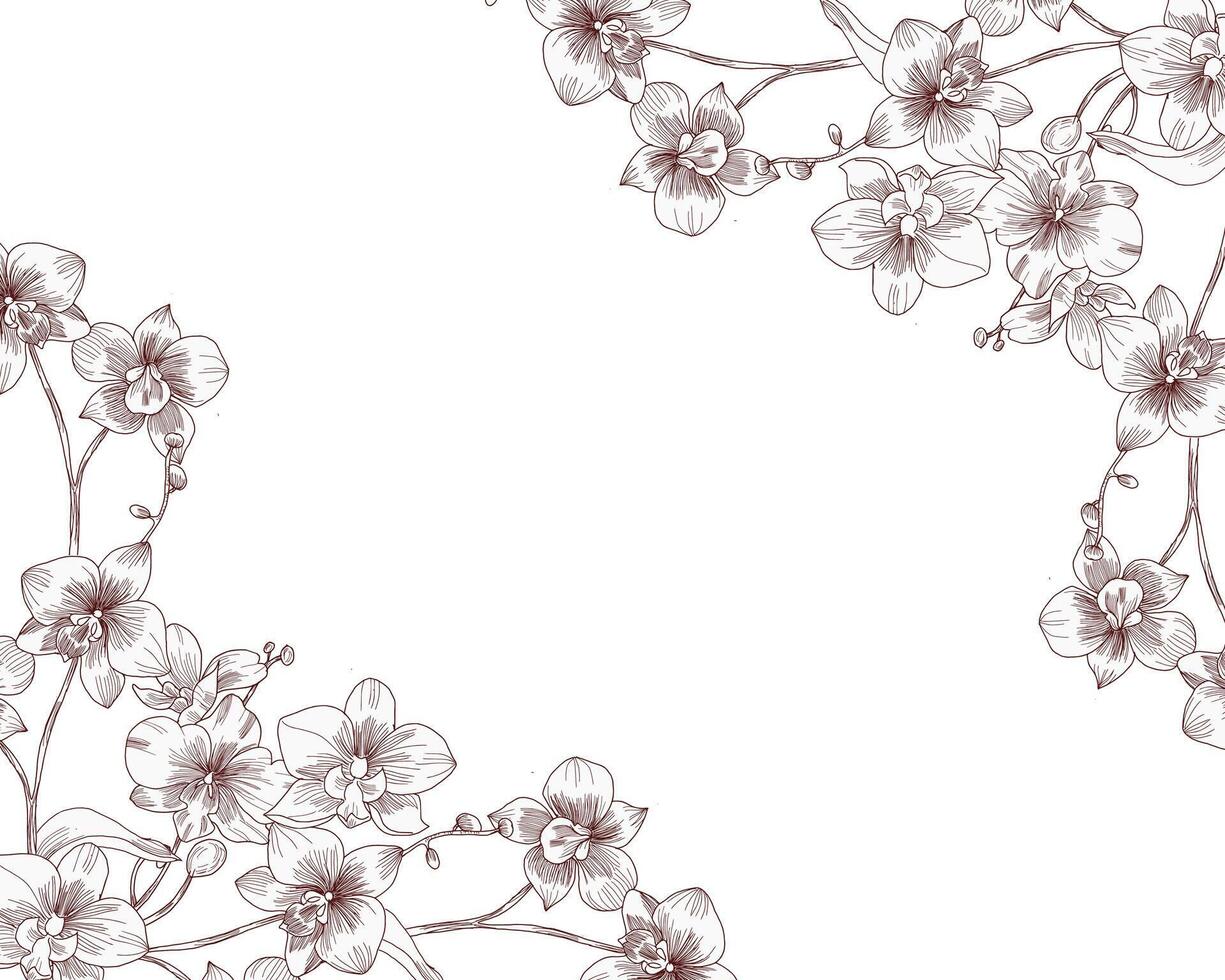 Hand Drawn Orchid Flower Border vector