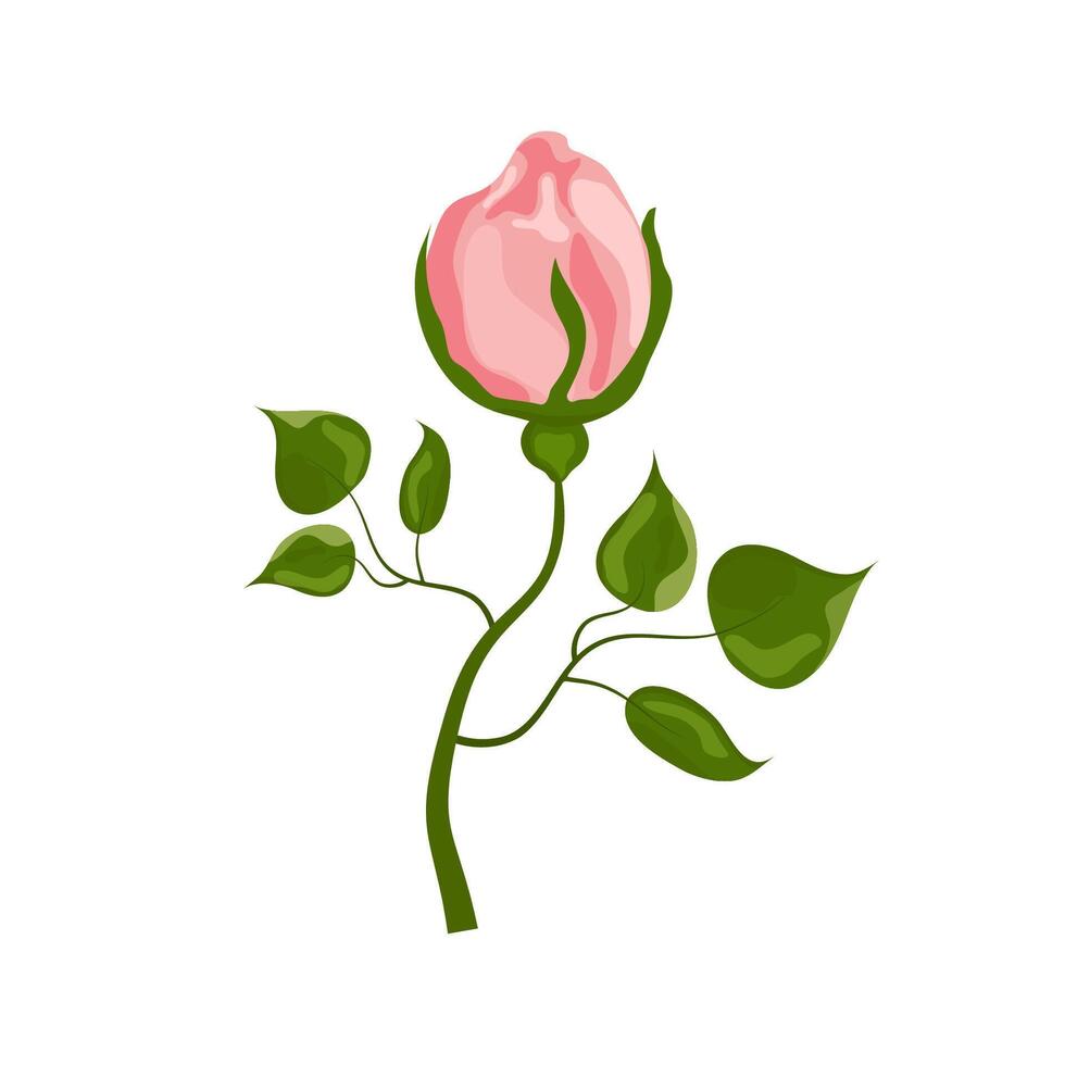 Rose bud. Vector graphics in watercolor style