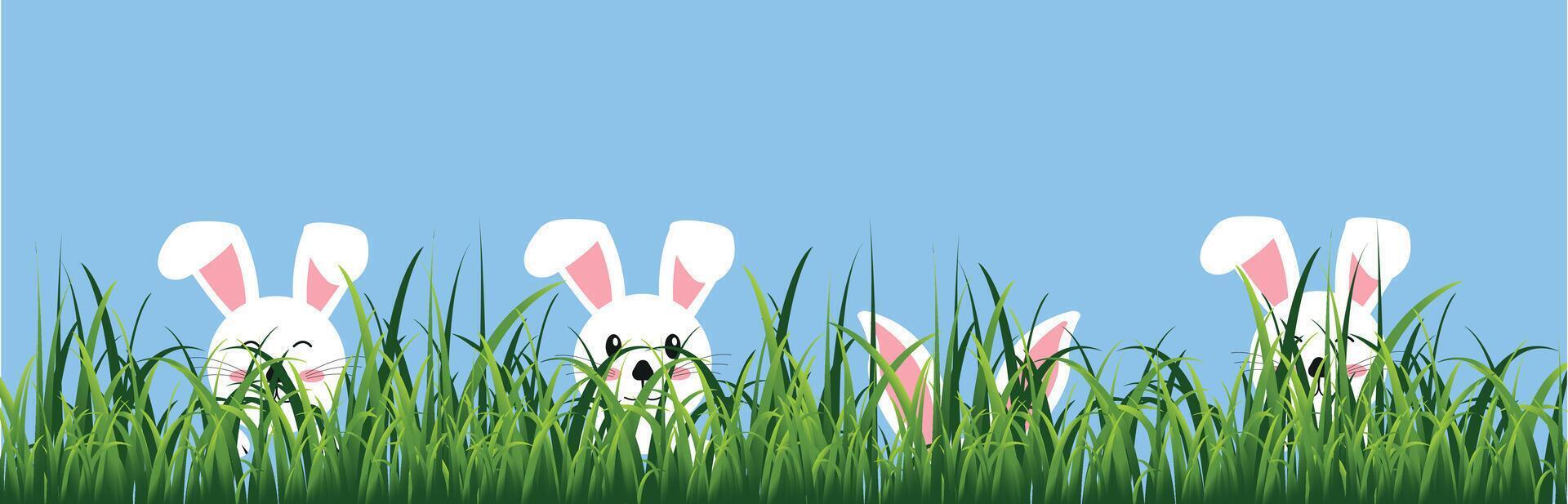 Rabbits in green grass. Vector graphics