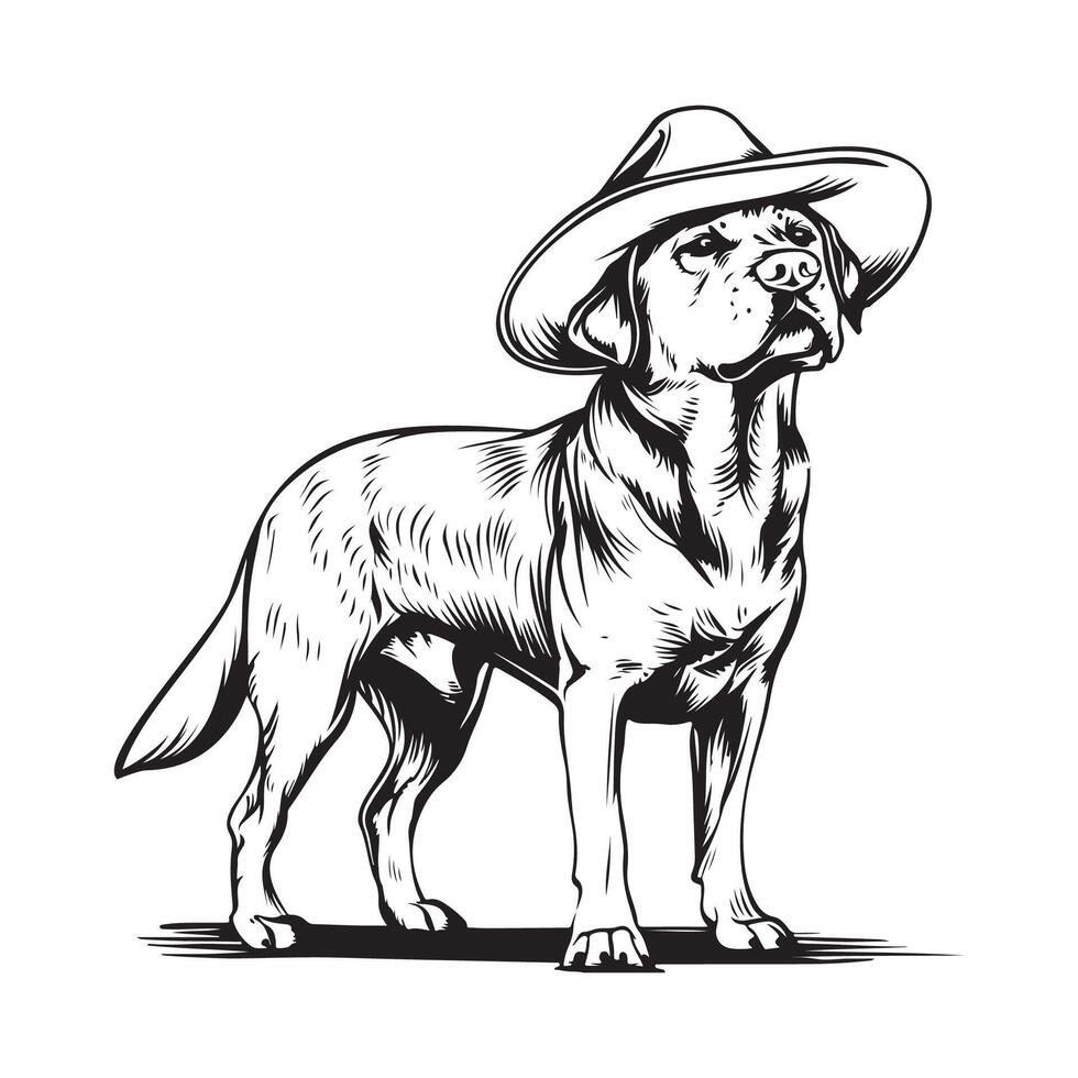 Old labrador dog with hat Stock Vector Images