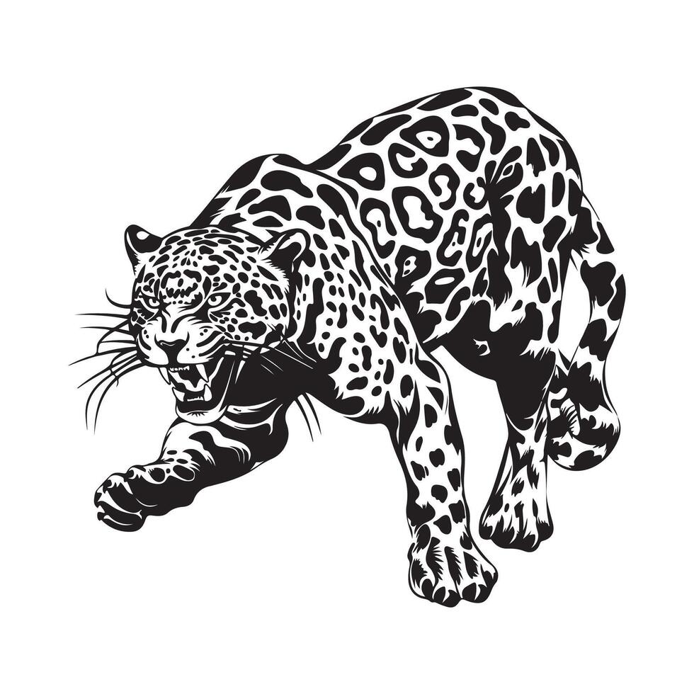 Attack Leopard  Illustration Abstract Vector, Leopard White Background vector