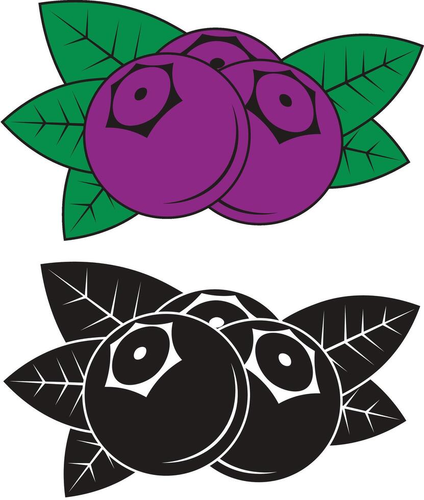 arándanos en dos versiones color y negro vector