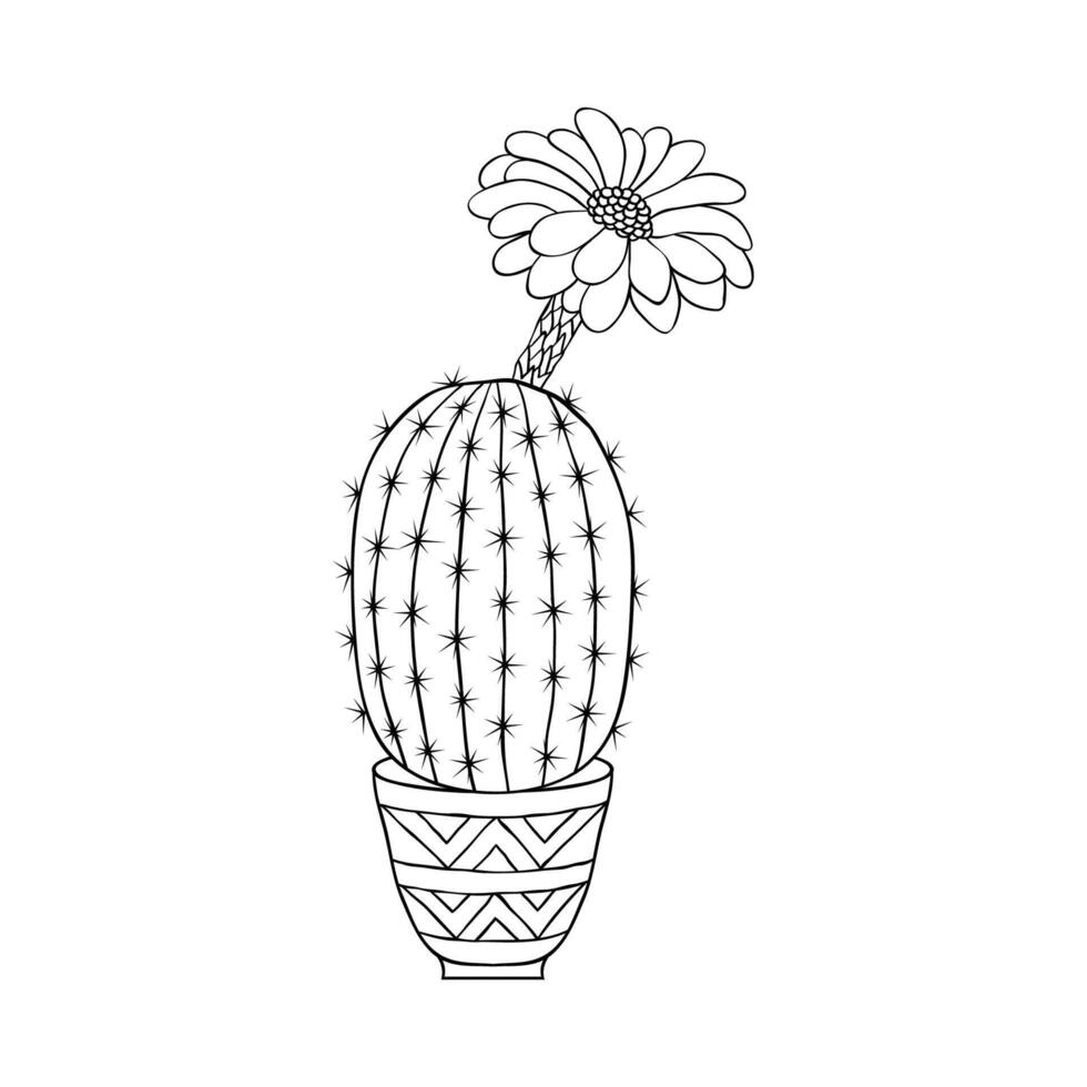 Cactus in doodle style vector