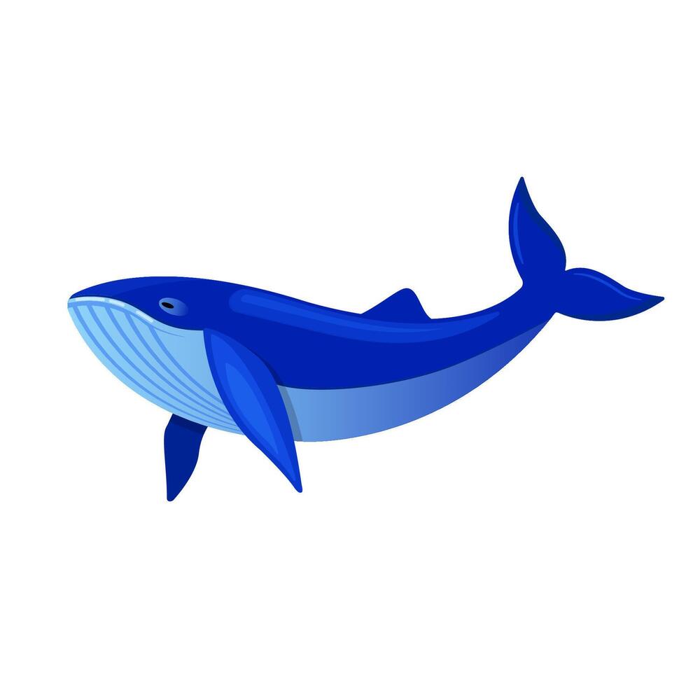 Whale in cartoon style vector