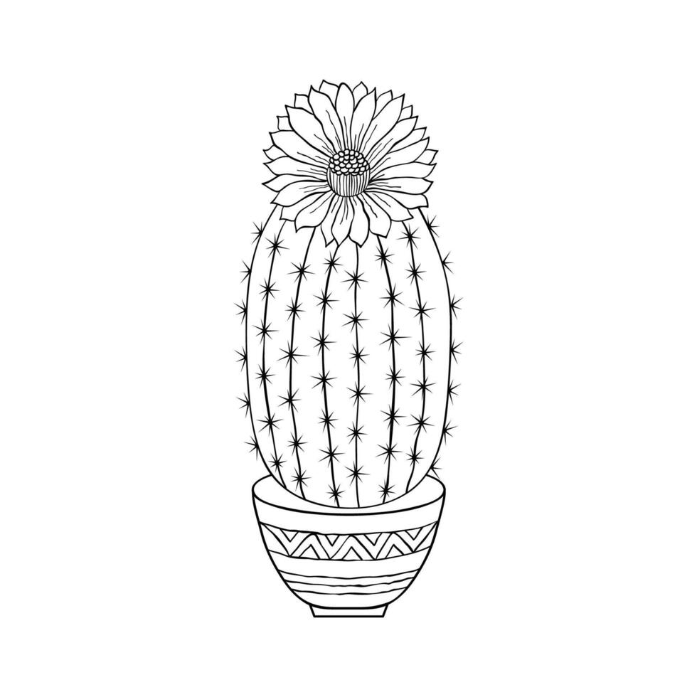 Cactus in doodle style vector