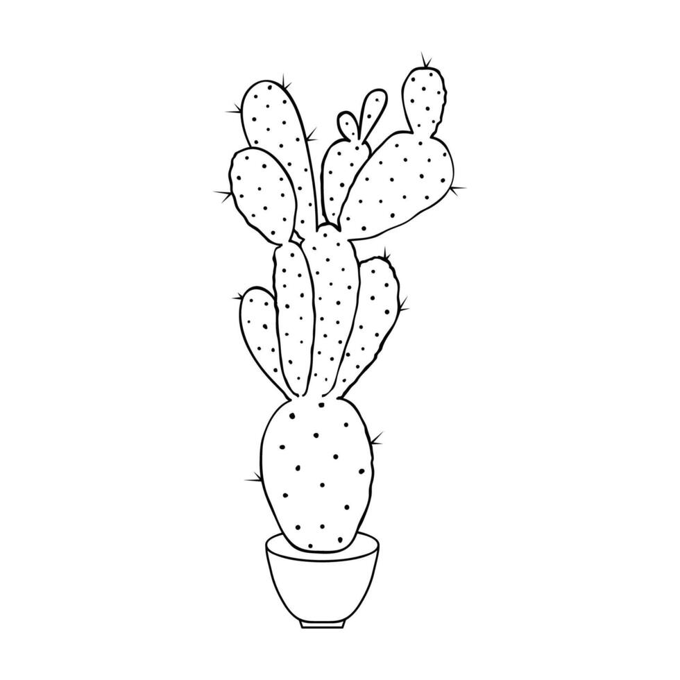 Cactus in doodle style vector