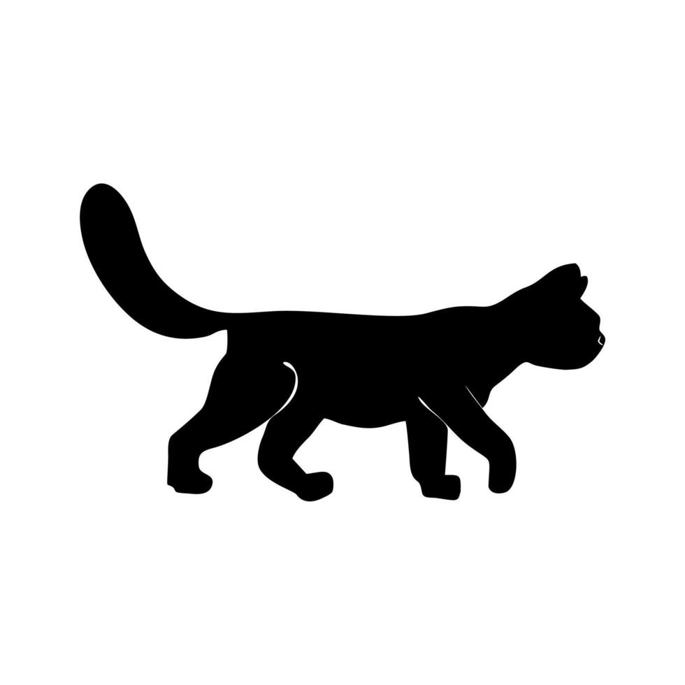 cat is black vector