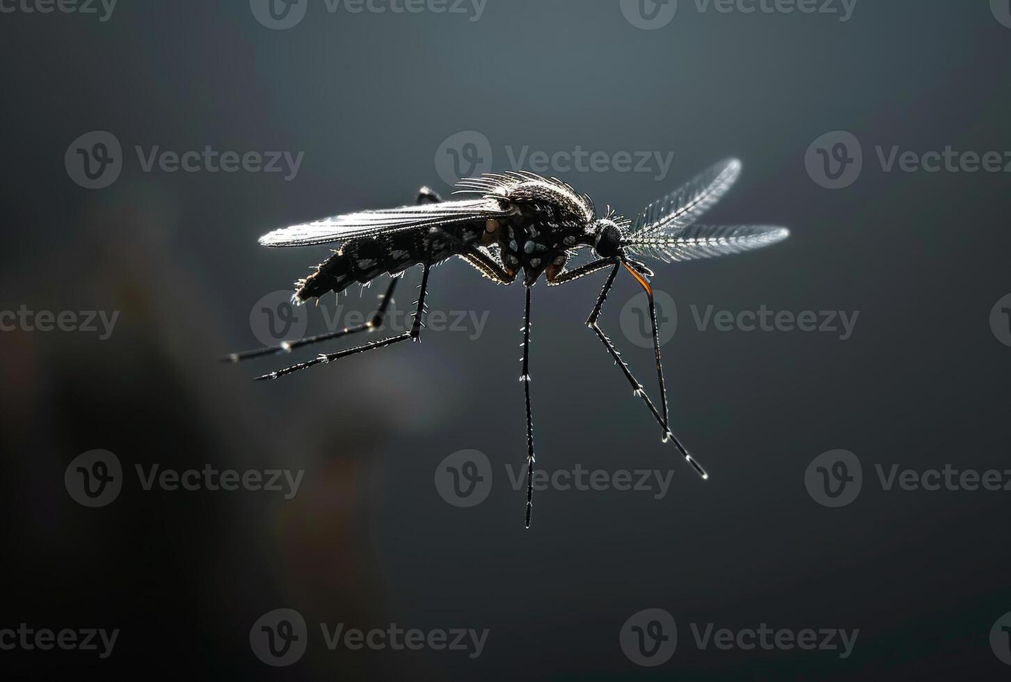 AI generated Mosquito is shown in the image. A close up of a mosquito photo