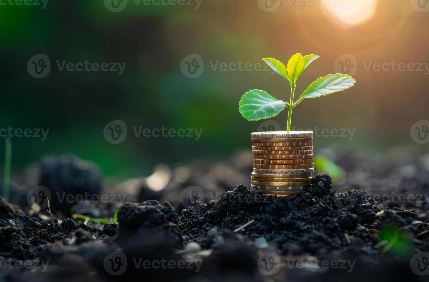 AI generated Stacked coins and plant growing on the soil with sunlight in the morning photo