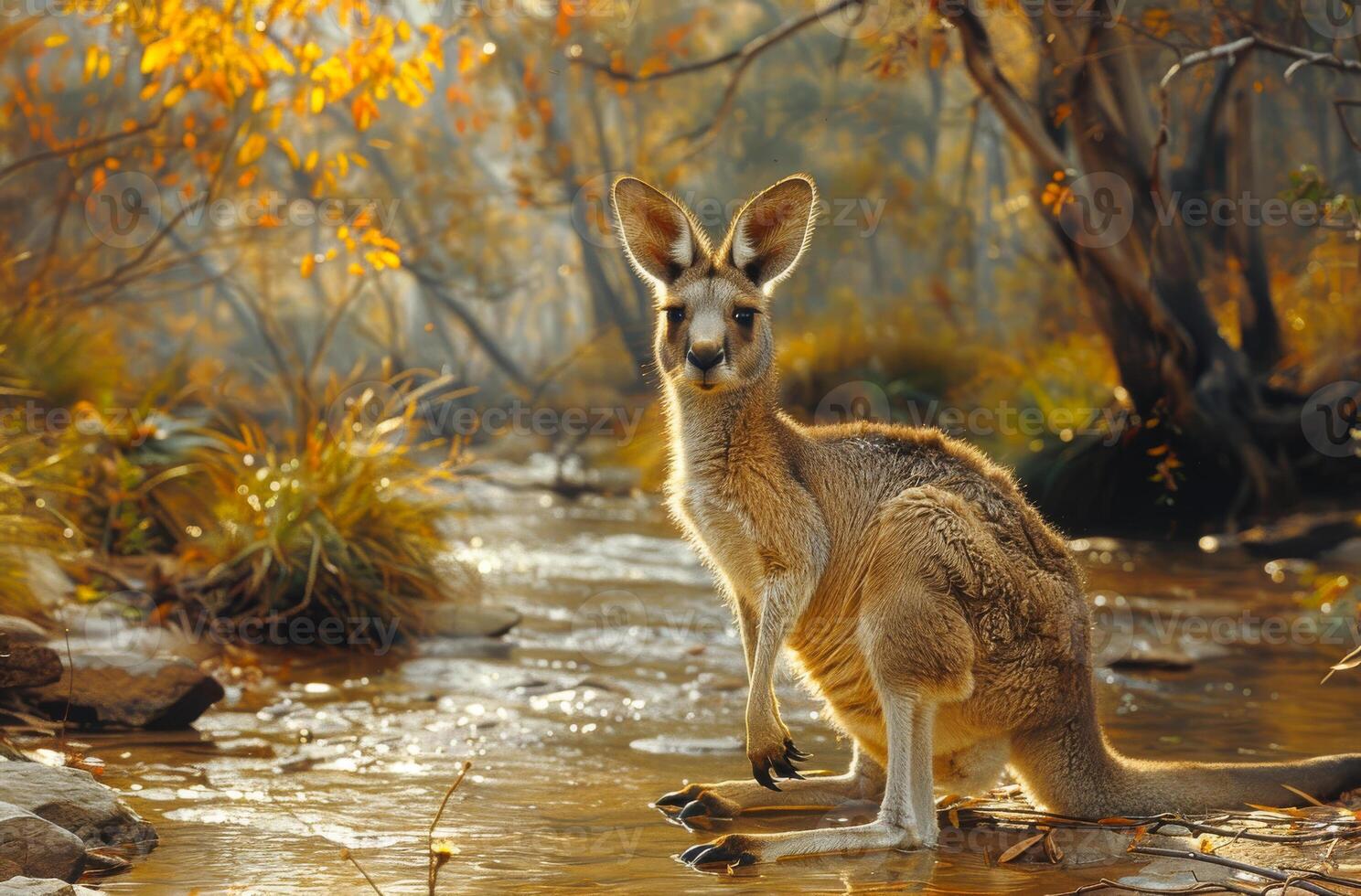 AI generated Kangaroo in its natural habitat. Kangaroo in the wild during the day photo
