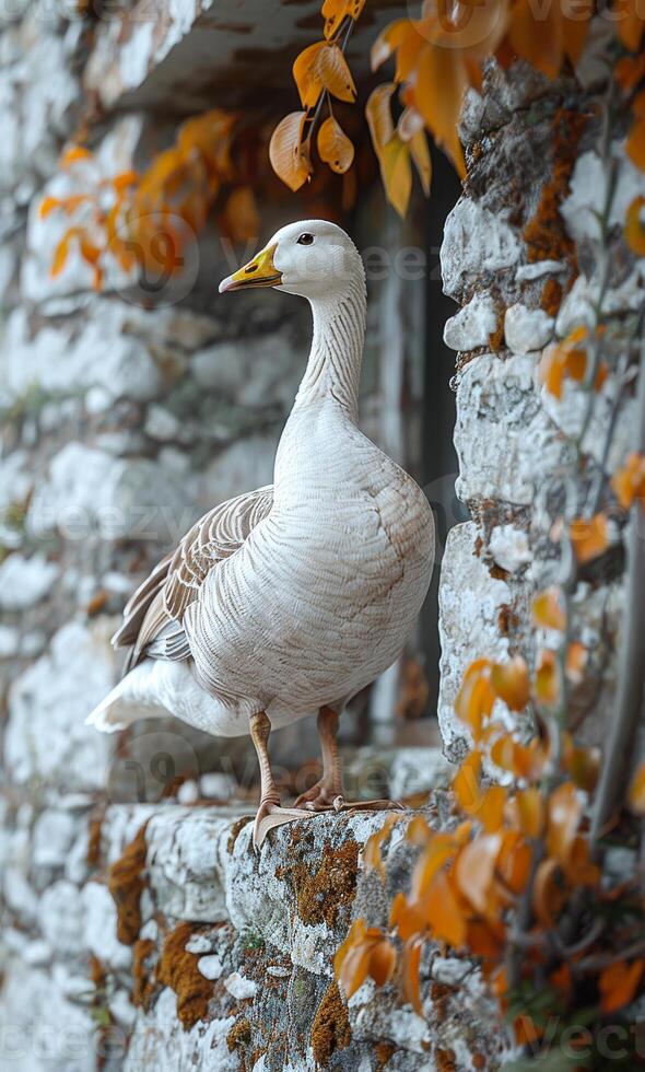 ai generado blanco Pato es en pie en Roca pared con amarillo hojas foto