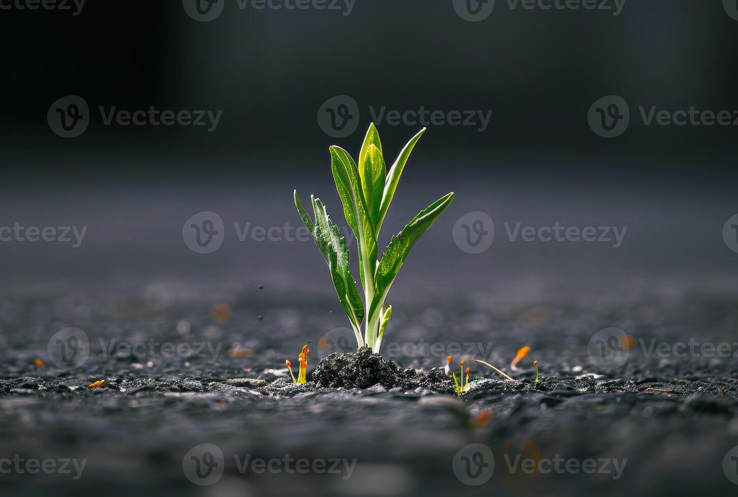 AI generated Small green plant sprouts from the asphalt concept of the beginning of new life photo