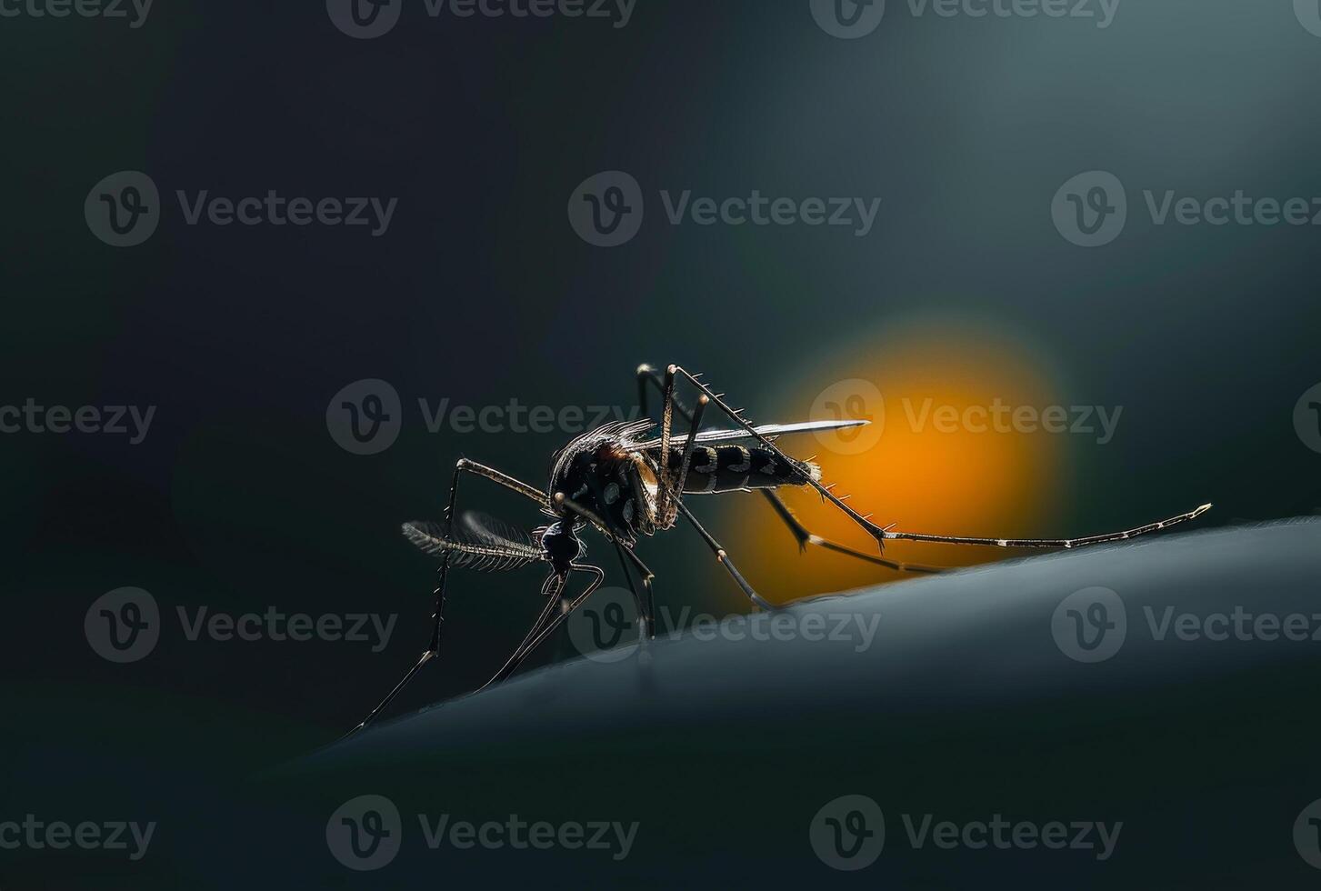 AI generated Mosquito is seen in this file photo