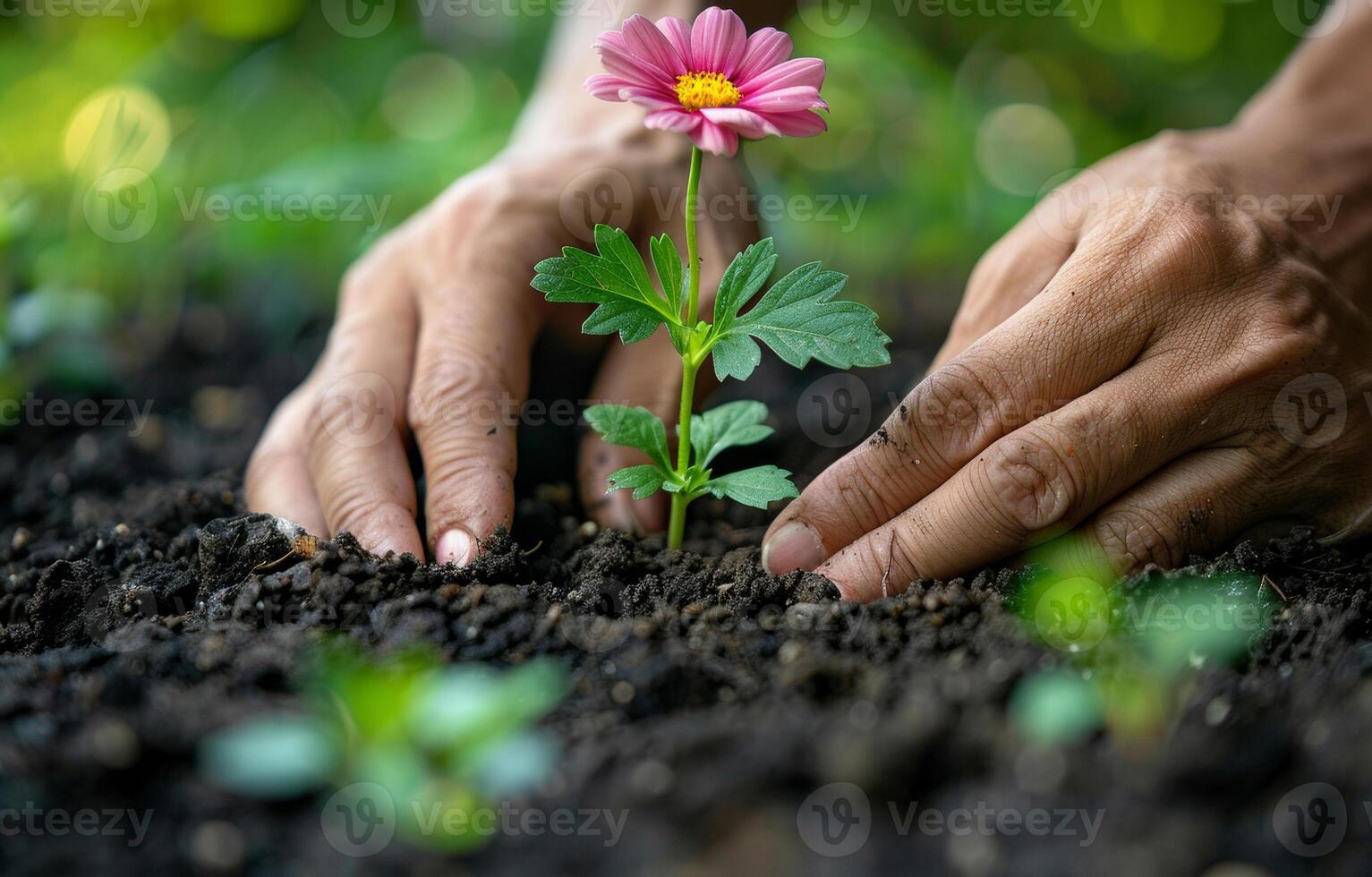 ai generado manos plantando flor en el suelo foto