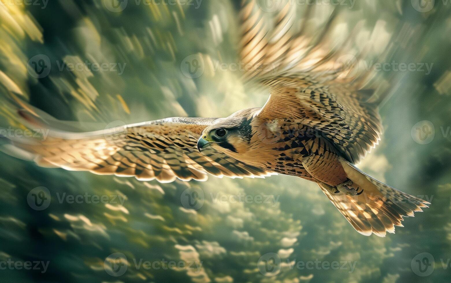 AI generated In the golden light of dusk, a peregrine falcon soars with outstretched wings photo