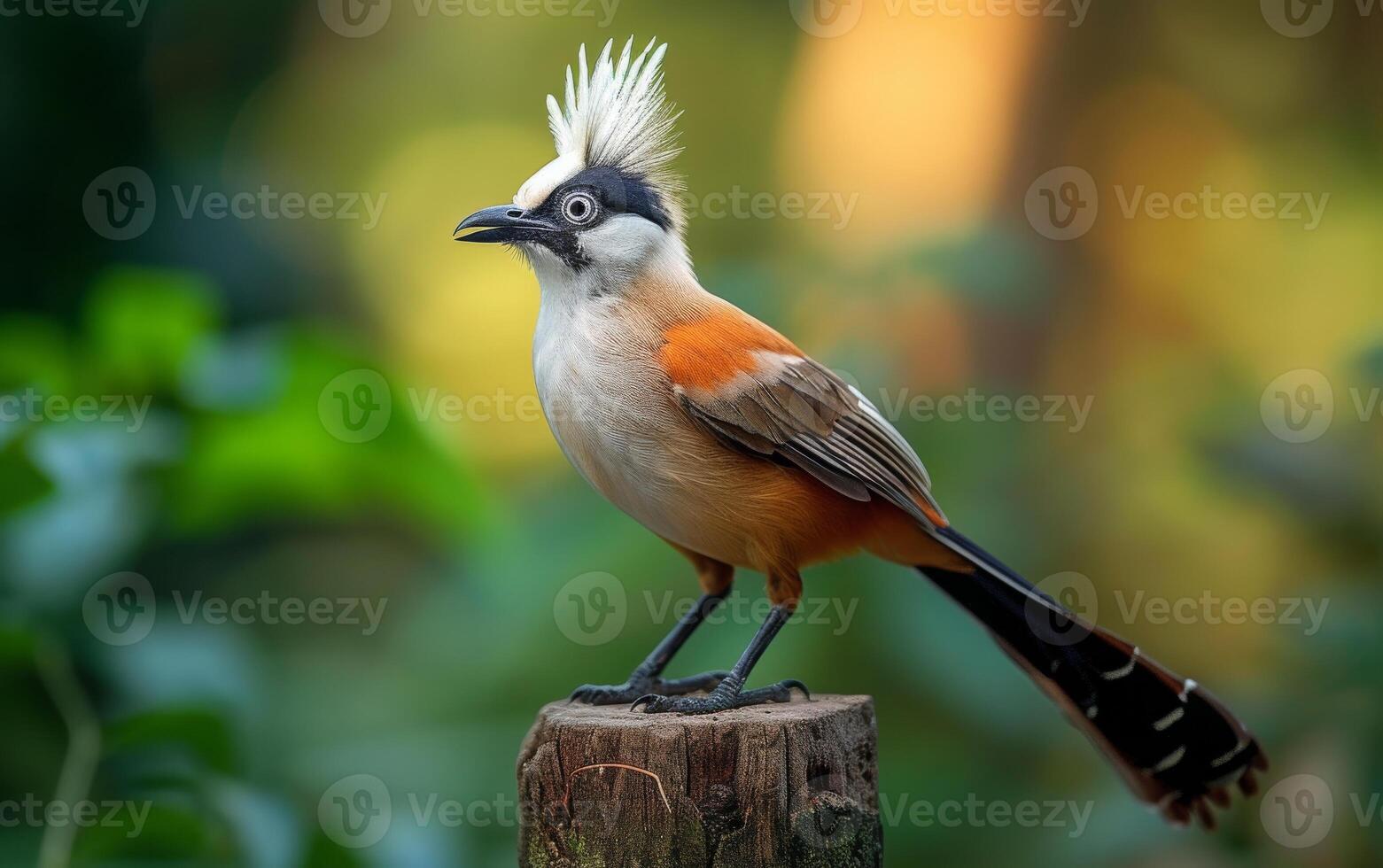 AI generated A striking White crested Laughingthrush perched on a tree stump photo