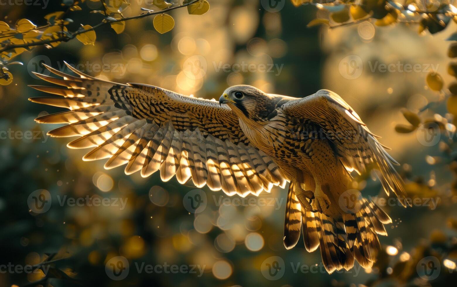 ai generado majestuoso halcón en vuelo a oscuridad foto