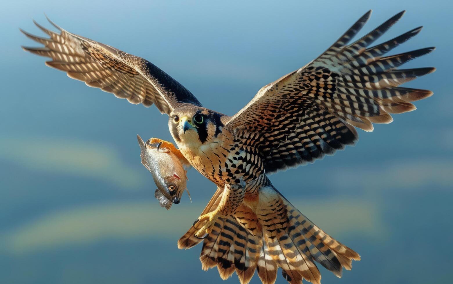 AI generated A powerful falcon ascends with precision, clutching its fresh catch photo